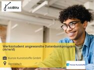 Werksstudent angewandte Datenbankprogrammierung (m/w/d) - Bentwisch