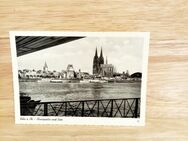 Ansichtskarte-Ak-331--Köln am Rhein - Rheinpartie und Dom. - Nörvenich