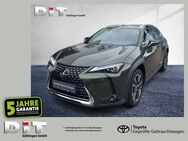 Lexus UX 250h Luxury Line ACC FLA HUD SpurH Leder LM - Göttingen