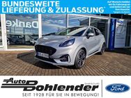 Ford Puma, , Jahr 2024 - Kandel