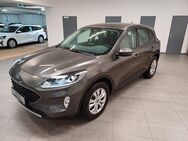 Ford Kuga Cool & Connect 2.0 EcoBlue M- Hybrid - Bad Oeynhausen