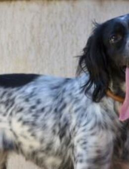 Fionas zerbrochene Seele will heilen - Mettmann