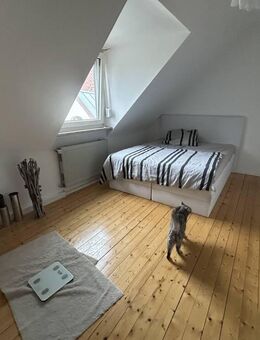 Helle und gemütliche Wohnung, perfekt für das Paar! - Ludwigshafen (Rhein)