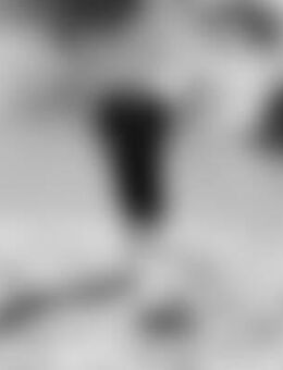 Mad*** - Immenstadt (Allgäu)