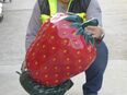 Obst, Erdbeere, 70cm Artikelnummer: 1047 / 499,00 € inkl. MwSt., zzgl. Versand Versandkostenfreie Lieferung / Deutschland, laut unseren AGB,s Lieferzeit: 15 - 20 Tag(e) / Menge: 1 in 15754