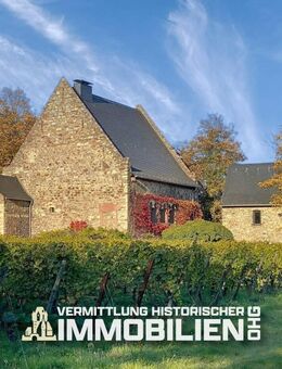 Rarität im Rheingau: Eines der ältesten Steinhäuser Deutschlands - Oestrich-Winkel