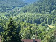 LAGE, LAGE, LAGE - DHH auf schönem Grundstück mit TraumBLICK ins Albtal in Busenbach - Waldbronn