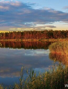 Zerpenschleuse - Wald, Wasser - pure Natur! - Wandlitz