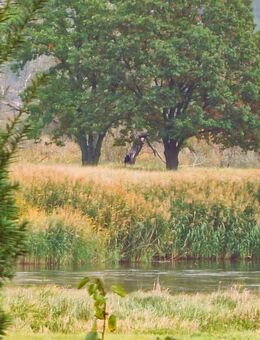 TRAUMHAFT RENOVIERTE HOFSTELLE - MIT CHARME UND SCHEUNE - UND MIT 4 WOHNEINHEITEN - Bleyen-Genschmar