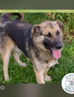 Tero: Fröhlicher Entdecker - Kirchzell