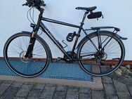 Trecking Atlanta Street XT Pro Sport Herren Fahrrad - Plüderhausen