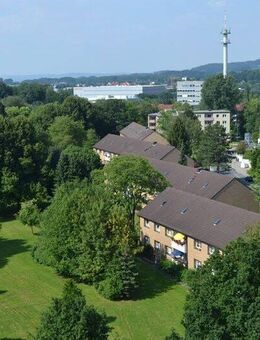 3-Zimmer-Wohnung in Detmold Knochenbach - Detmold