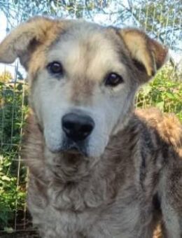 Senior FRED - Kallmünz