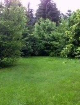 ERFÜLLEN SIE SICH UND IHRER FAMILIE DEN TRAUM VOM ZUHAUSE IM GRÜNEN! TEL. 01714863595 - Jahnsdorf (Erzgebirge)