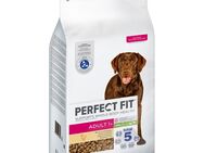 Perfect Fit Adult Hund (>10kg) - 6 kg