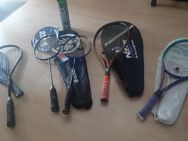 Tennis-Squasch-und Badmintonschläger - Isernhagen