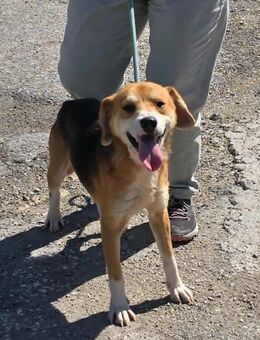 Gib sehr sozialen LUKA die Chance auf ♥️ - München