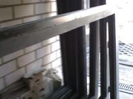 Alu-Fenster-Rahmen, Mehrkammer-Sonder-Anfertigungen, (8 Stck. z. Zt. noch vorhanden), ab 90 Euro - Simbach (Inn)