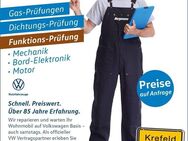 VW wir bieten den kompletten Service für Ihren Camper *Borgmann* - Krefeld