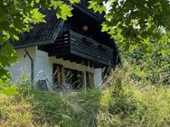 Zweitwohnsitz in großem romantischen Wochenendhaus - Bad Soden (Taunus)