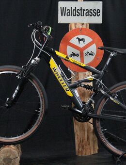 Fully Bergmeister, WHEELER 55 Hornet, 41cm, W14 - Aarau