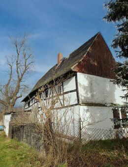 Ruhiger Dreiseitenhof mit Entwicklungspotenzial in Pegau - Pegau