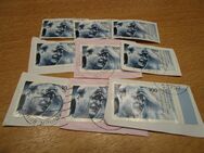 Briefmarken Dietrich Bonhoeffer 9 Stück (BRD) 1995 - Weichs