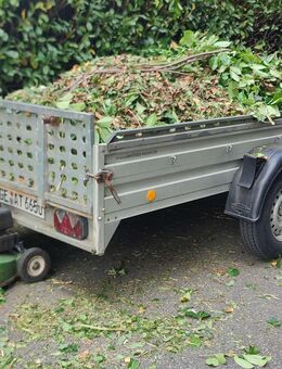 Gartenpflege Grünschnitt Rasen Hecke Baum - Gelsenkirchen