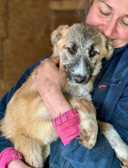 JON ~ der Schmusebär - Duisburg