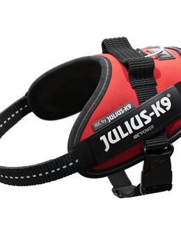JULIUS-K9 IDC®-Powergeschirr - rot - Größe XS: Brustumfang 40 - 53 cm