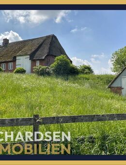 Wohnen auf der Tyenswarft in einem charmanten, reetgedeckten Friesenhaus nahe der Nordsee - Dagebüll