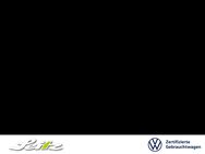 VW Golf, 2.0 TDI VIII United, Jahr 2020 - Kempten (Allgäu)