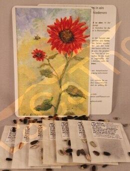 Einzigartiges Sonnenblumen Set Mischung Sonnenblume Feld Mix Geschenk Geburtstag Mischung Sonnenblumen Garten Geschenkset bee insektenfreundliches Saatgut garden Geschenk Sonne Sonnenblumenstrauß Frühling SWR Vatertag Blumenwiese - Pfedelbach