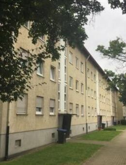 Neu renovierte 2-Zimmer-Wohnung - Eislingen (Fils)
