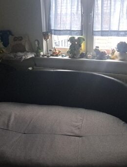 Großes Sofa zu verschenken - Güstrow
