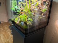 Oase biOrb EARTH 125 mit Unterschrank Terrarium - Duisburg