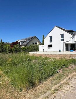 "Mehr als nur 4 Wände" Schlüsselfertiges Neubau-EFH in Affalterbach - Affalterbach