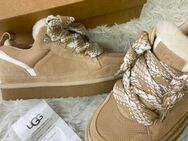 Uggs lowmel - Aachen