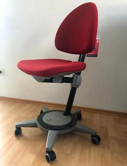 Höhenverstellbarer Schreibtisch und Schreibtischstuhl von Moll, "Maximo Forte" - Oberursel (Taunus)