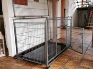 Gitterbox für große Hunde - Schieder-Schwalenberg