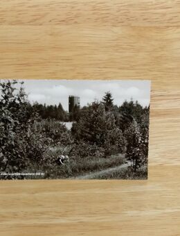 Ansichtskarte-AK-503-Gaststätte Astenturm in Winterberg. - Nörvenich