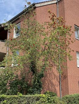 Ein schöner Platz für die Familie in der Hansestadt - Lüneburg