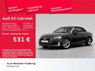 Audi A5, Cabrio advanced 40 TFSI, Jahr 2022 - München