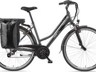Telefunken E-Bike Trekkingrad Expedition XT480, 21 Gang Shimano, Heckmotor, 374,4 Wh, (mit Fahrradtasche), Pedelec, Elektrofahrrad für Damen