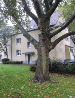 Entdecke die Möglichkeiten gemütliche 3 Zimmerwohnung im DG (=2.OG) - Gelsenkirchen