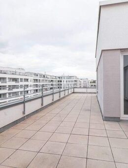 Penthouse-Traum mit lichtdurchfluteter Wohlfühlatmosphäre und großzügiger Dachterrasse - Ludwigshafen (Rhein)