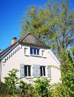 Wohnen mit Weitblick - Gr. Landhaus mit ELW, Ausbaureserve, Scheune und Garagen auf 2566 m² Grund - Jördenstorf