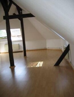 City & Bürgerpark 1-Zi. DG-Wohnung im Gründerjahrebau - Braunschweig