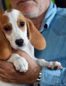 Darf Dora Ihre Familie bereichern? - Neuss