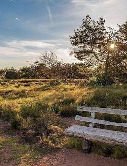 2 Balkone, 1 Terrasse & eigener Garten - Highlightwohnung an der Heide! - Radeberg